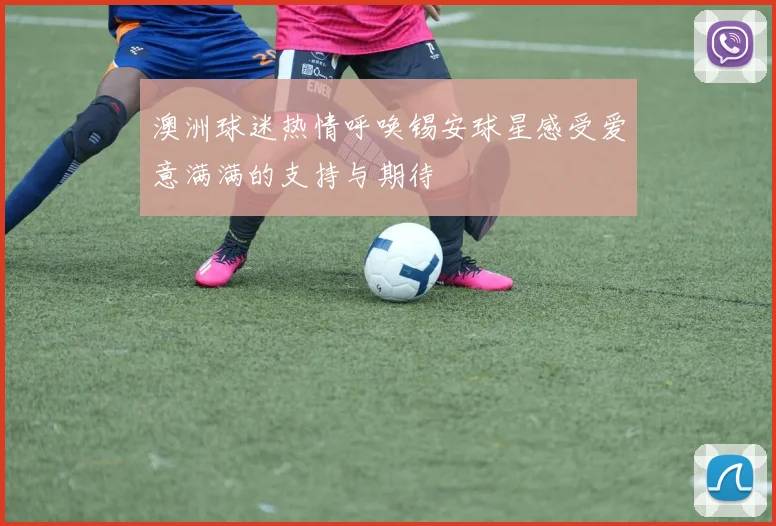 澳洲球迷热情呼唤锡安球星感受爱意满满的支持与期待