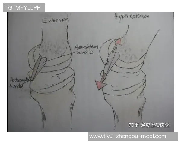 麦迪逊透露十字韧带撕裂恢复进展期待明年四月重返赛场 麦迪逊透露十字韧带撕裂恢复进展期待明年四月重返赛场